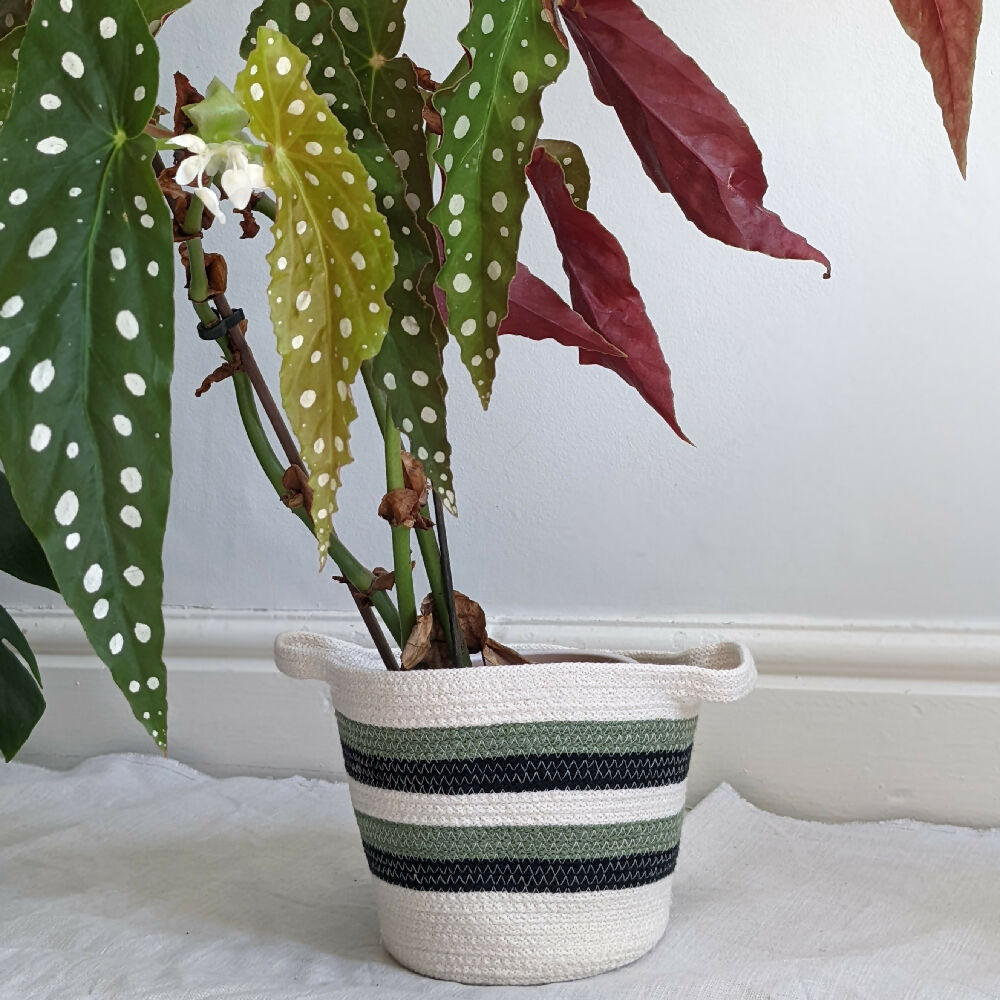 Green-Stripe-Basket