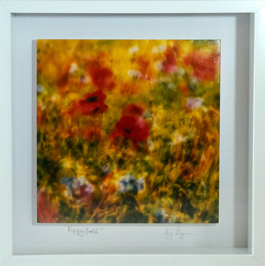 ABSTRACT POPPY PRINT IN 3D FRAME - "POPPY FIELD"