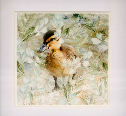 DUCKLING PRINT IN SMALL BOX FRAME - "DUCKLING LEAVES.."