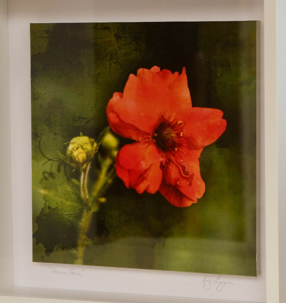 FLORAL PRINT IN 3D BOX FRAME - "GEUM GEM"