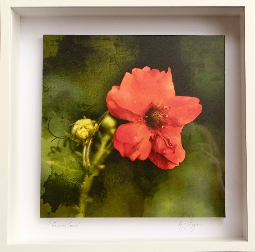 FLORAL PRINT IN 3D BOX FRAME - "GEUM GEM"