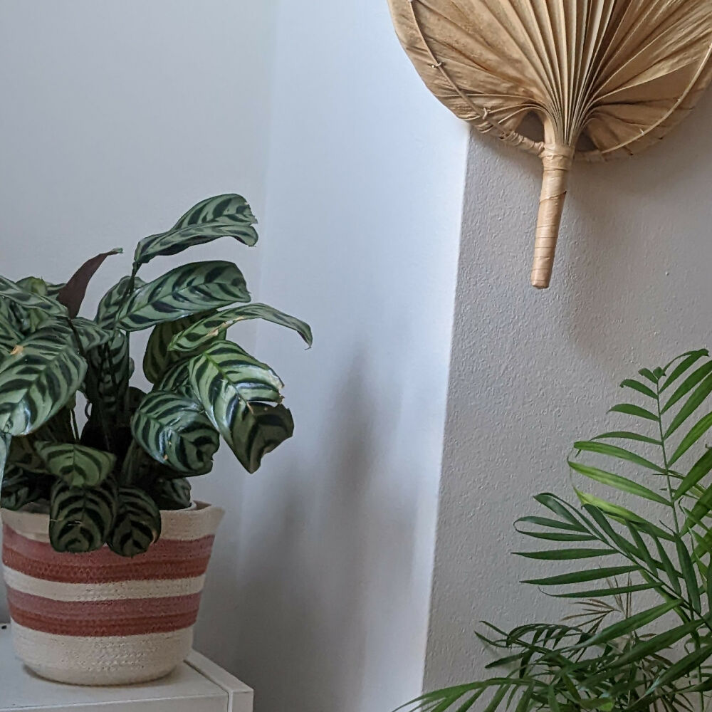 pink-terracotta-basket