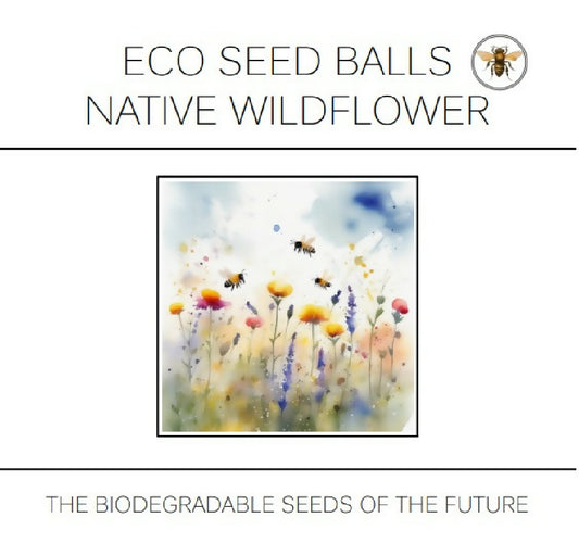 Eco Seed Balls Native Wildflower